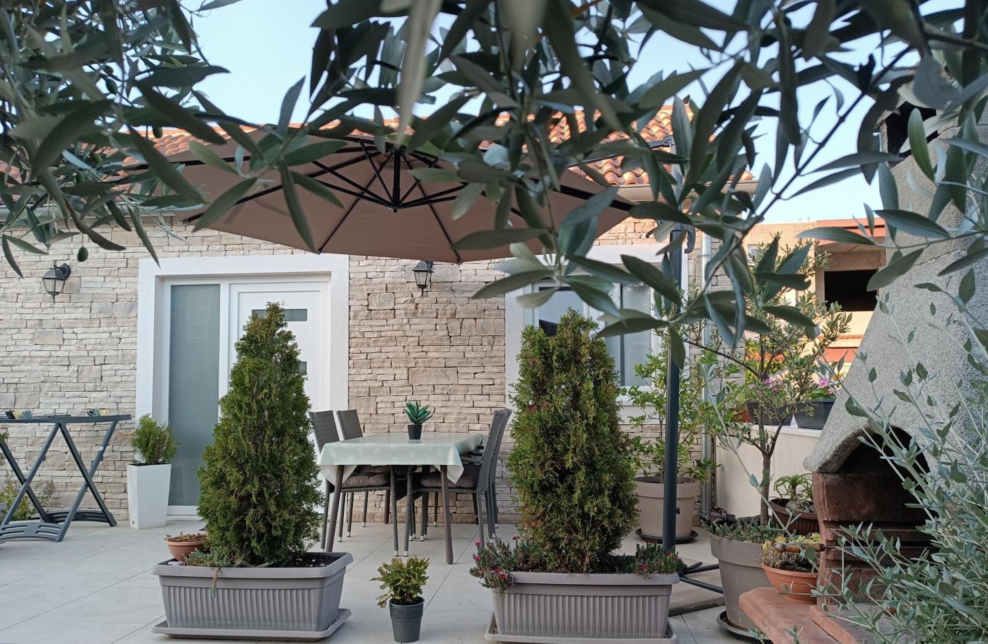 Mandi Apartment